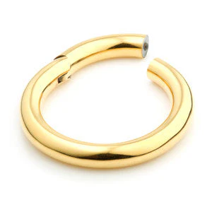24ct Gold PVD Steel Hinge Segment Ring - 3.2mm