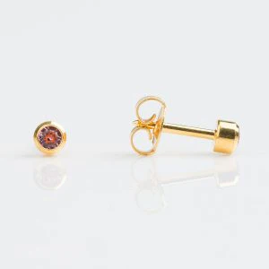 Studex Regular Gold Plated Bezel Studs - Pack of 12