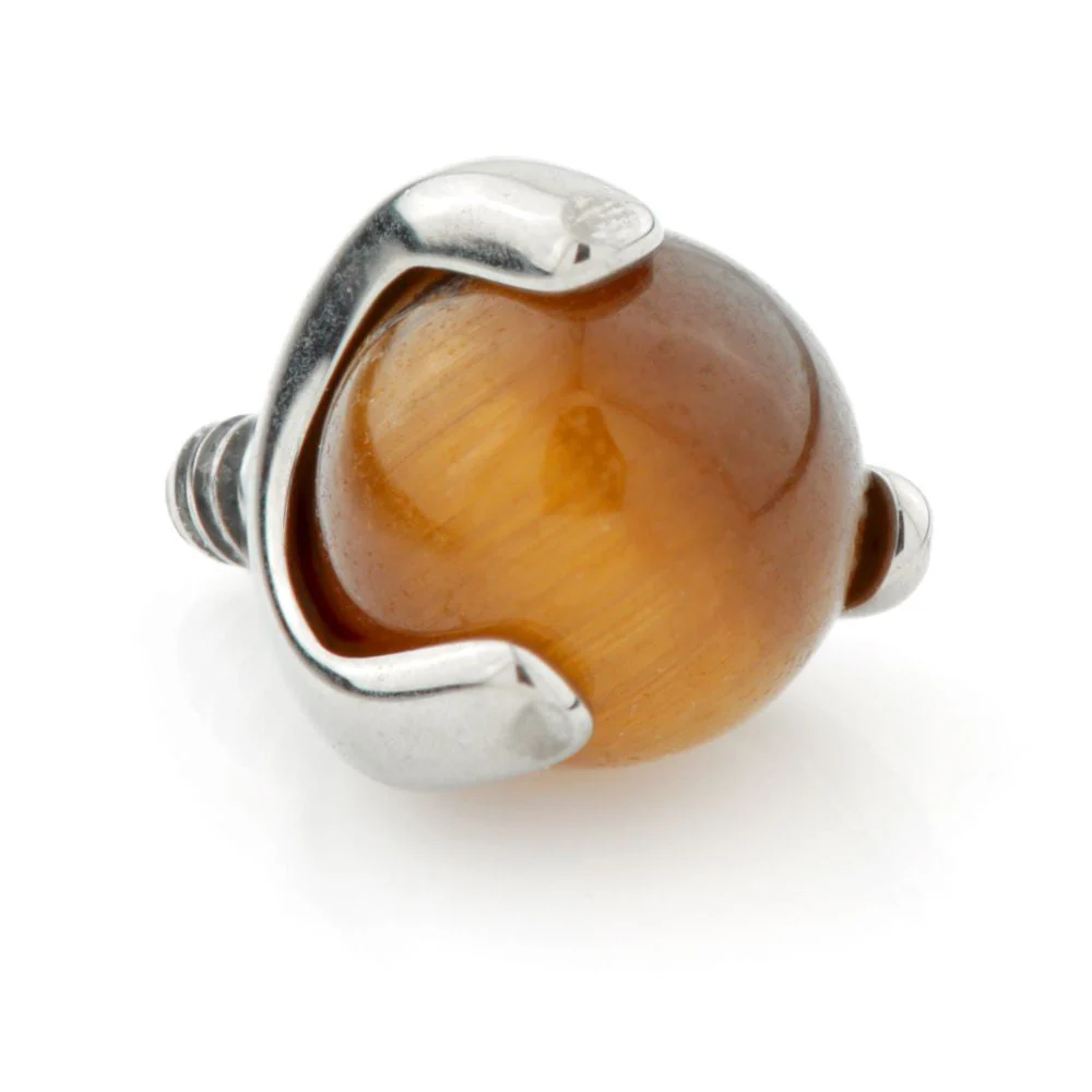 Titanium Tigers Eye Prong Set Ball Attachment