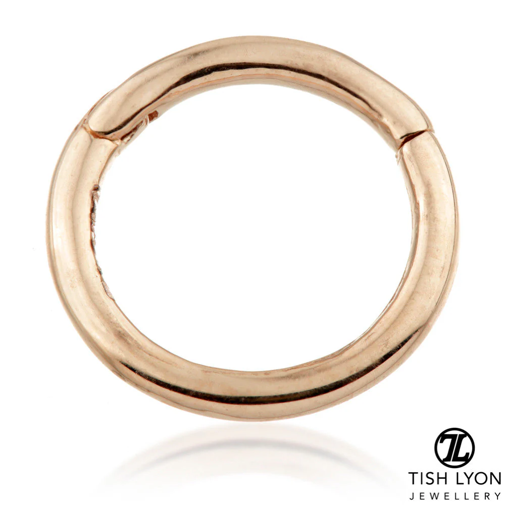 TL - 14K Gold Hinge Plain Segment Ring