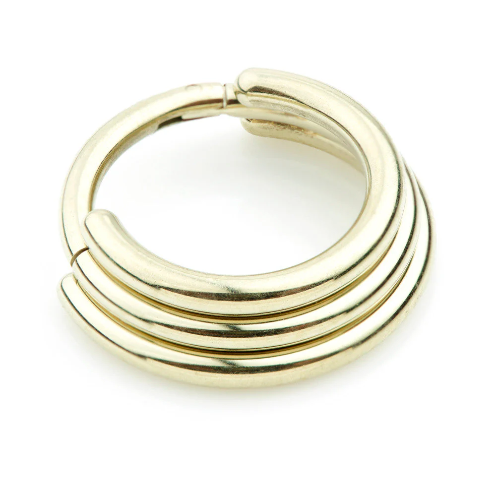 Zircon Gold PVD Ti Graduated Hinged Micro Ring