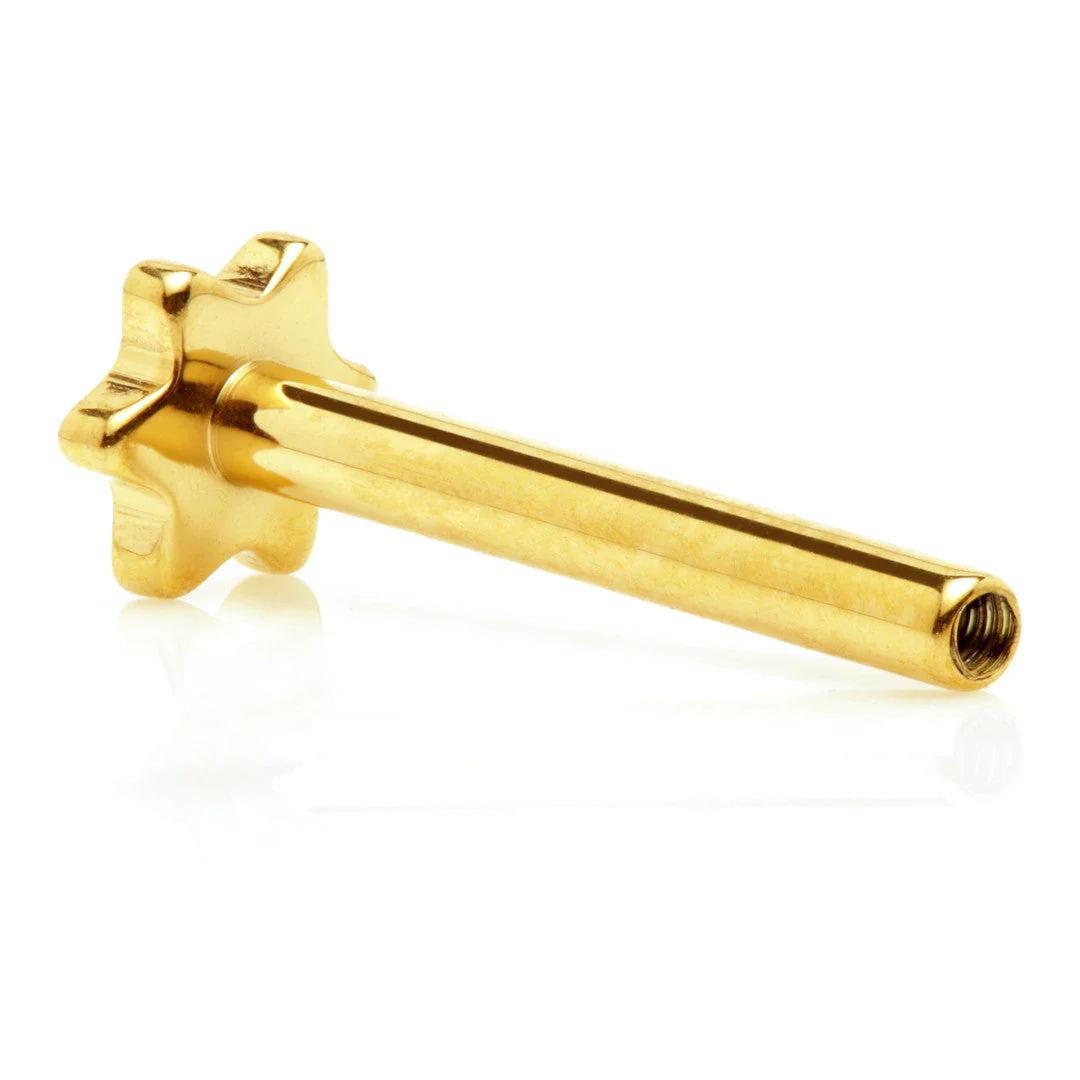 Zircon Gold Ti Internal Labret Stem with Star Base - 5